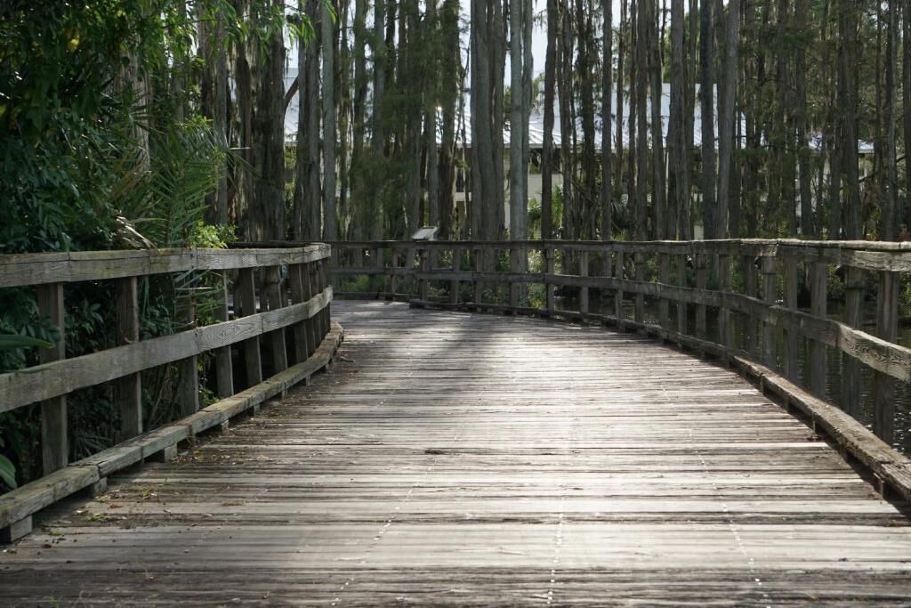 Photo of Outdoor in Wesley Chapel