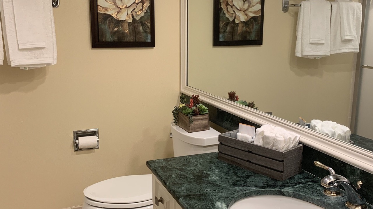 Photo of Bathroom in Wesley Chapel