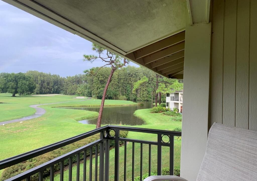 Photo of Outdoor in Wesley Chapel