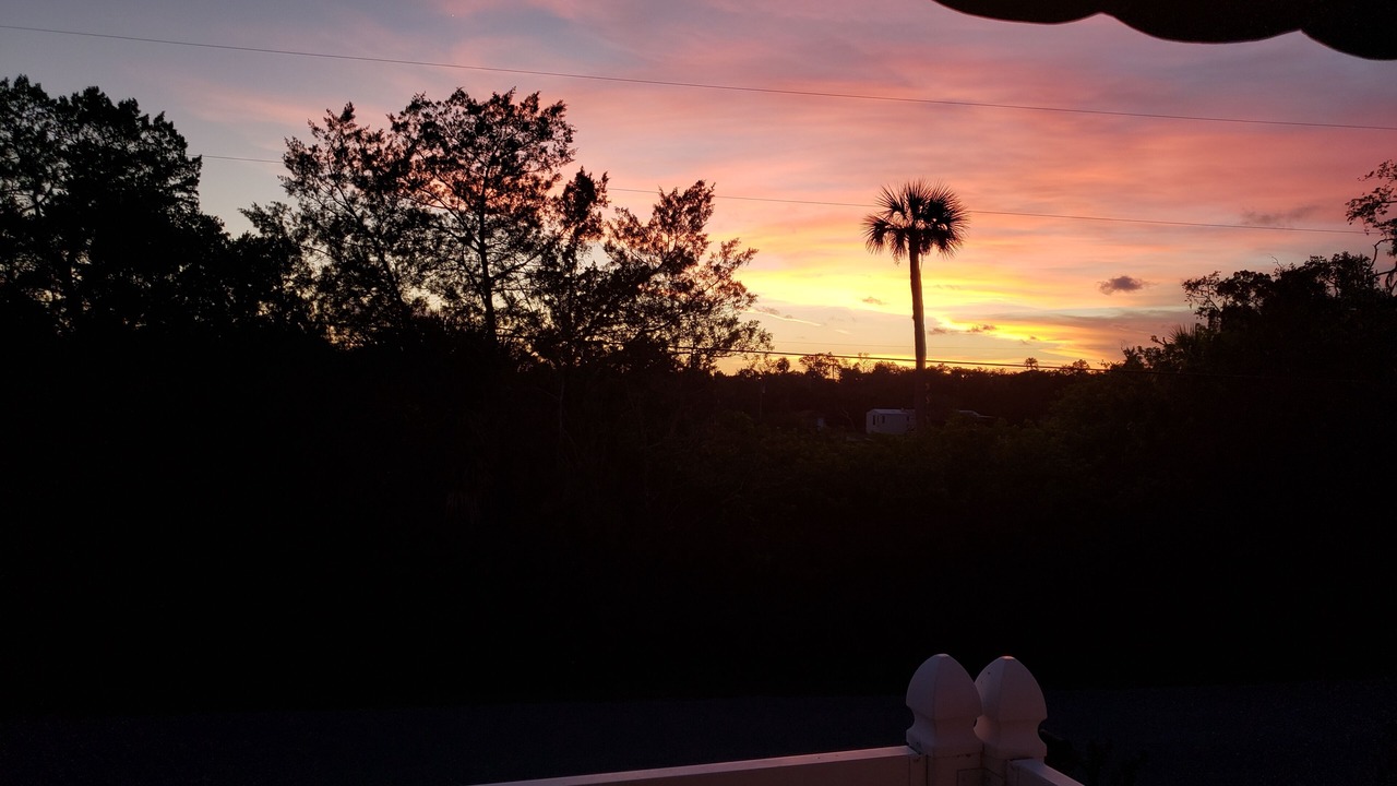 Photo of Outdoor in Crystal River