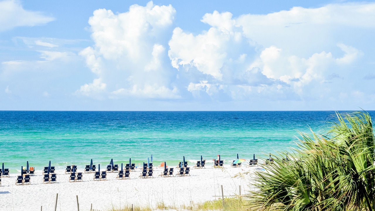 Photo of Others in Sandestin