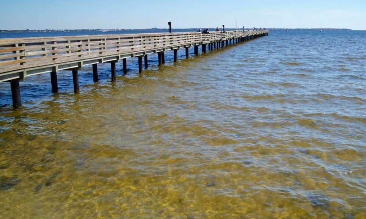 Photo of Others in Charlotte Harbor