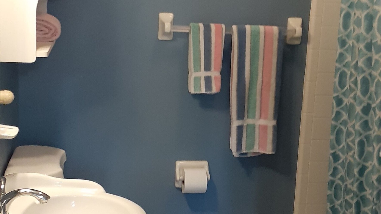Photo of Bathroom in Lake Eola Heights