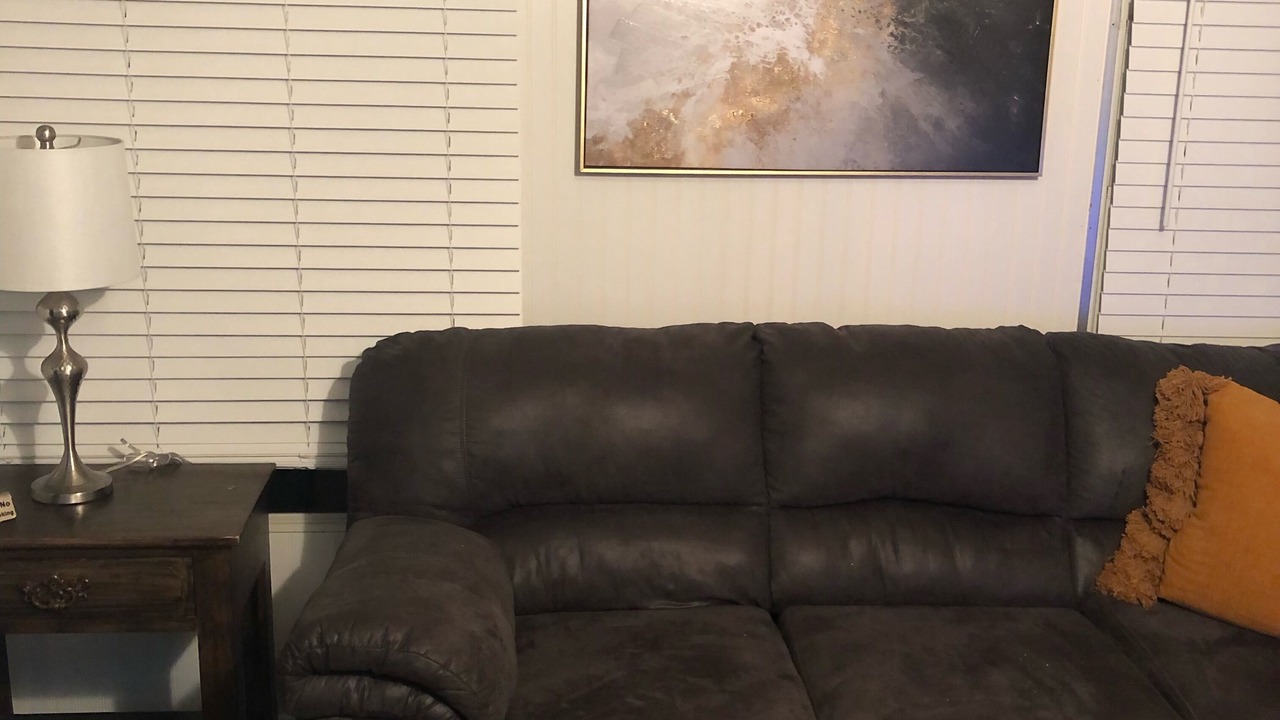 Photo of Livingroom in Zephyrhills