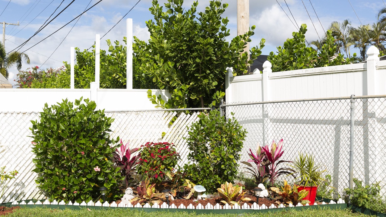Photo of Outdoor in Florida North Atlantic Coast