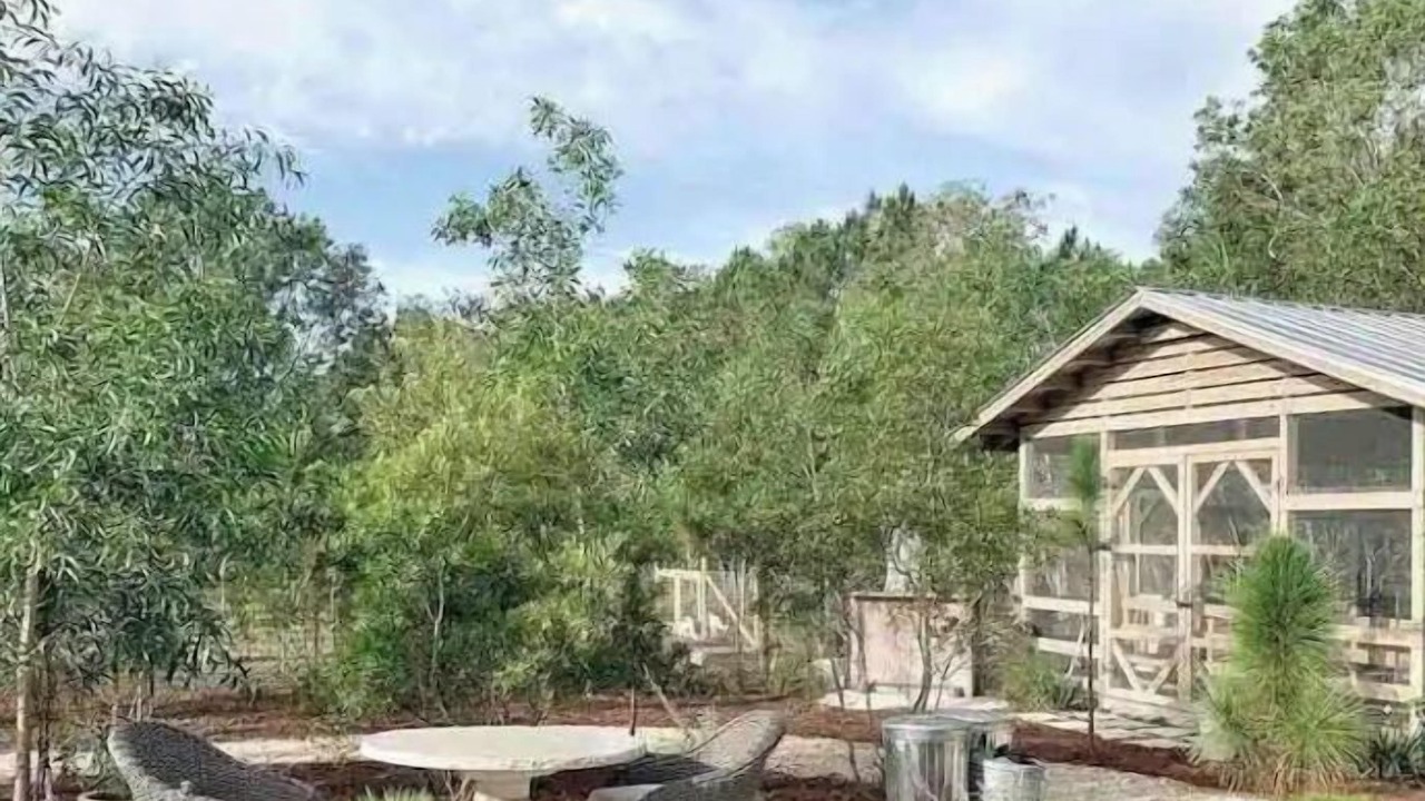Photo of Outdoor in Jupiter