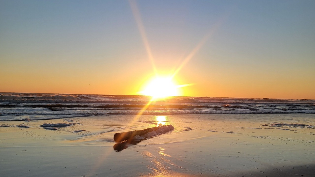 Photo of Others in Jacksonville Beach