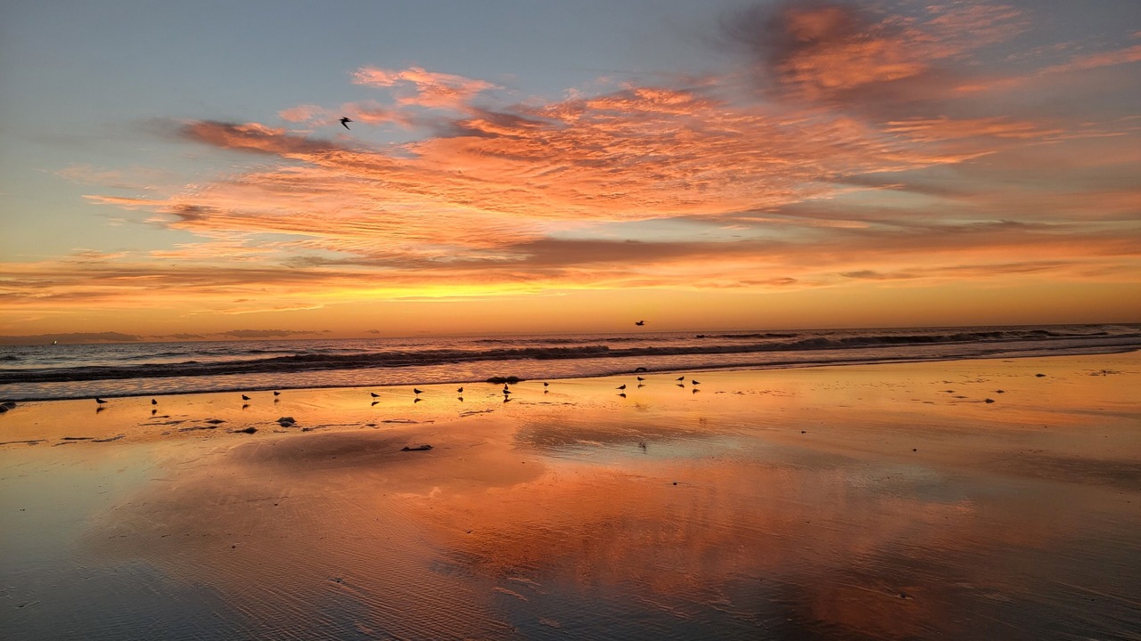 Photo of Others in Jacksonville Beach