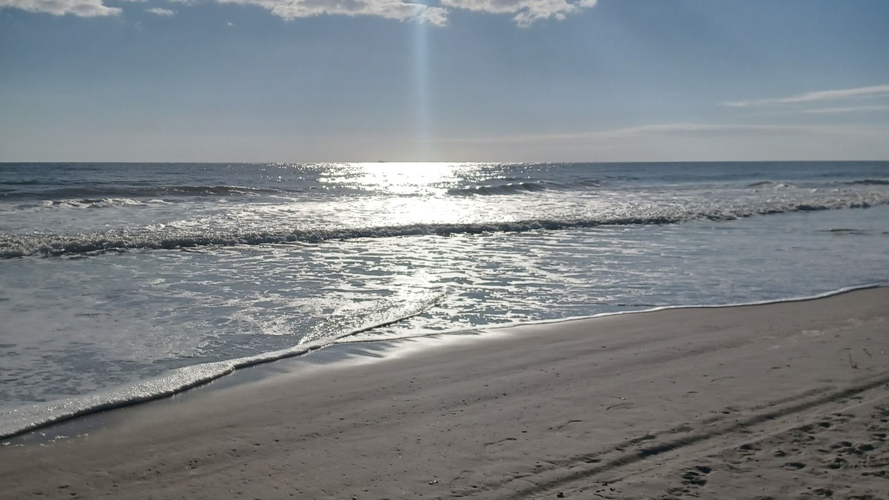 Photo of Others in Jacksonville Beach