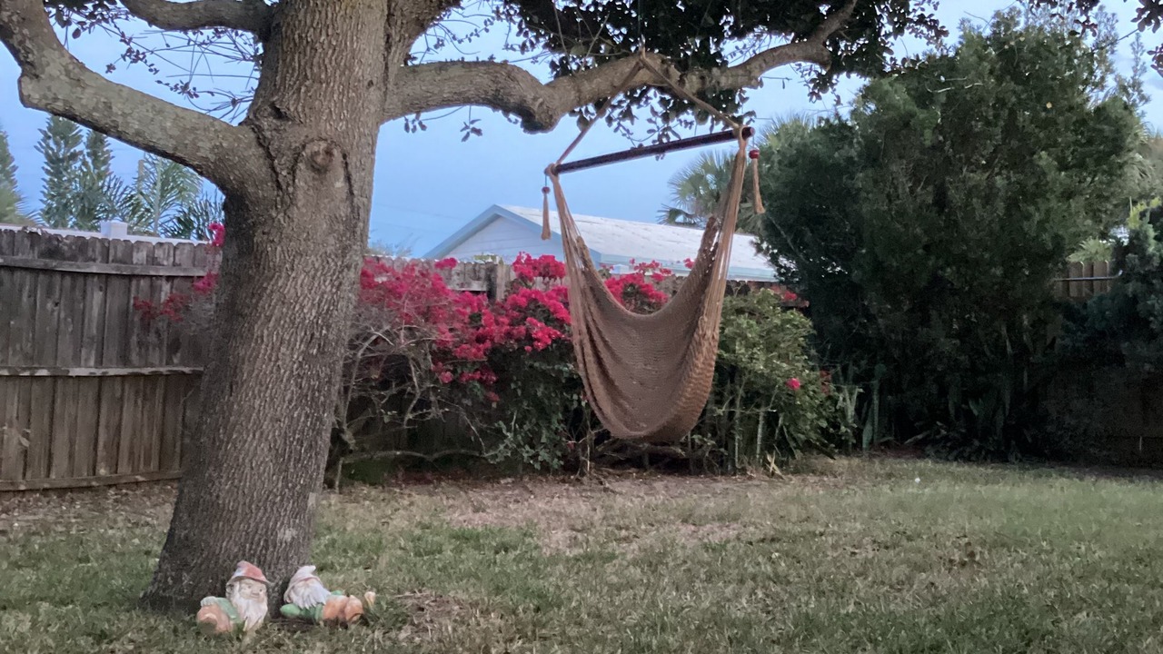 Photo of Outdoor in Orlando Beach