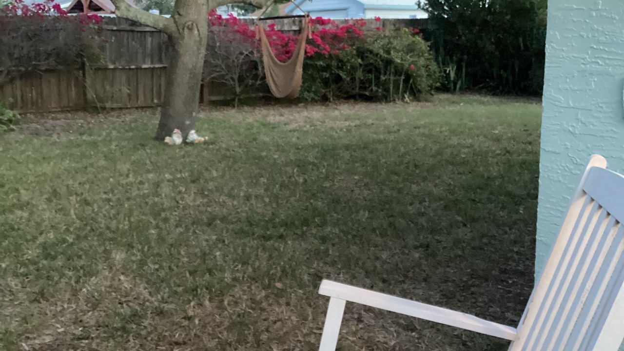Photo of Outdoor in Orlando Beach