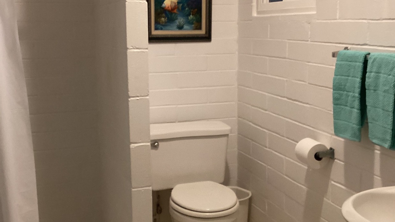 Photo of Bathroom in Orlando Beach