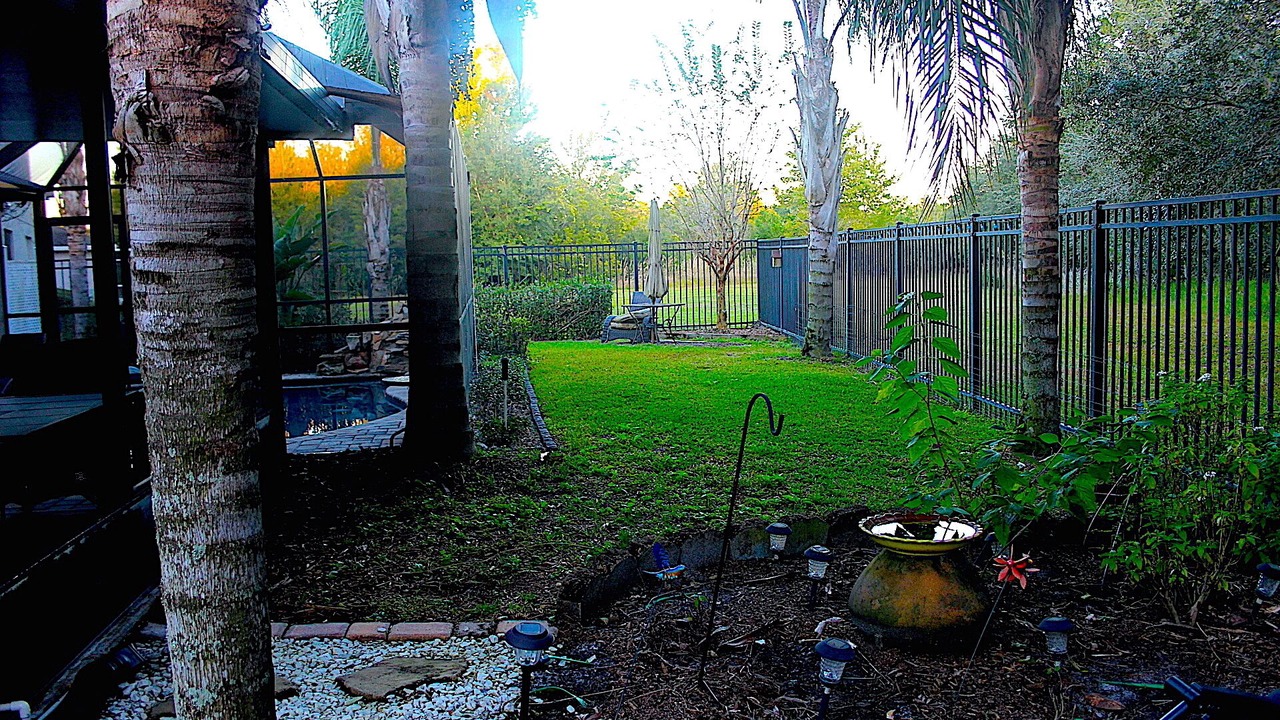 Photo of Outdoor in Wesley Chapel South