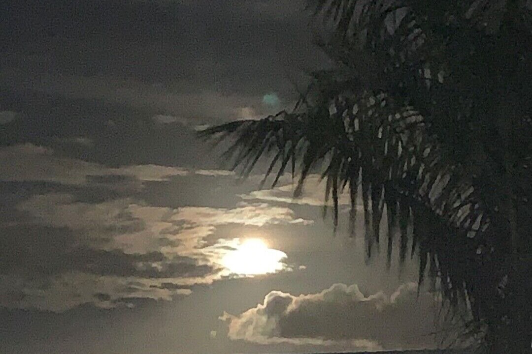 Photo of Others in Laguna Shores