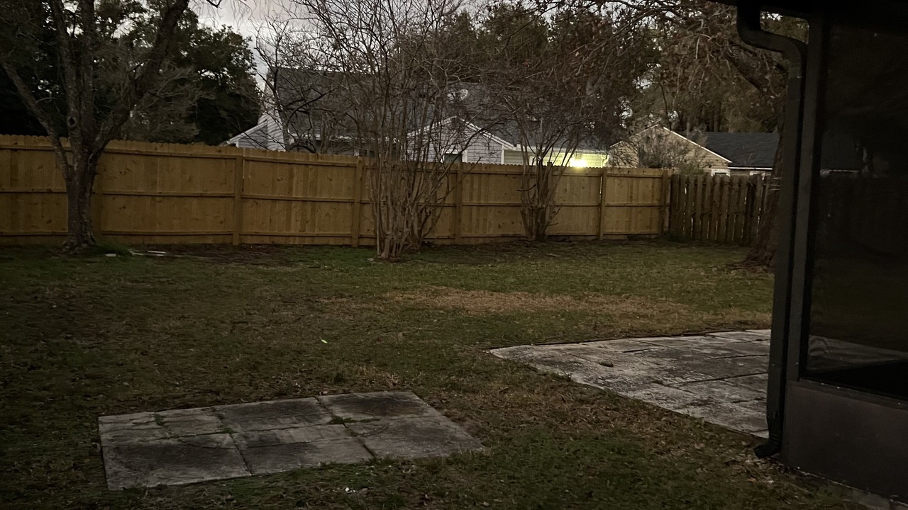 Photo of Outdoor in Golden Glades - The Woods
