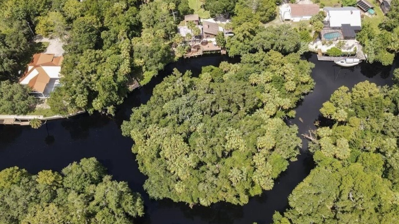 Photo of Outdoor in Crystal River