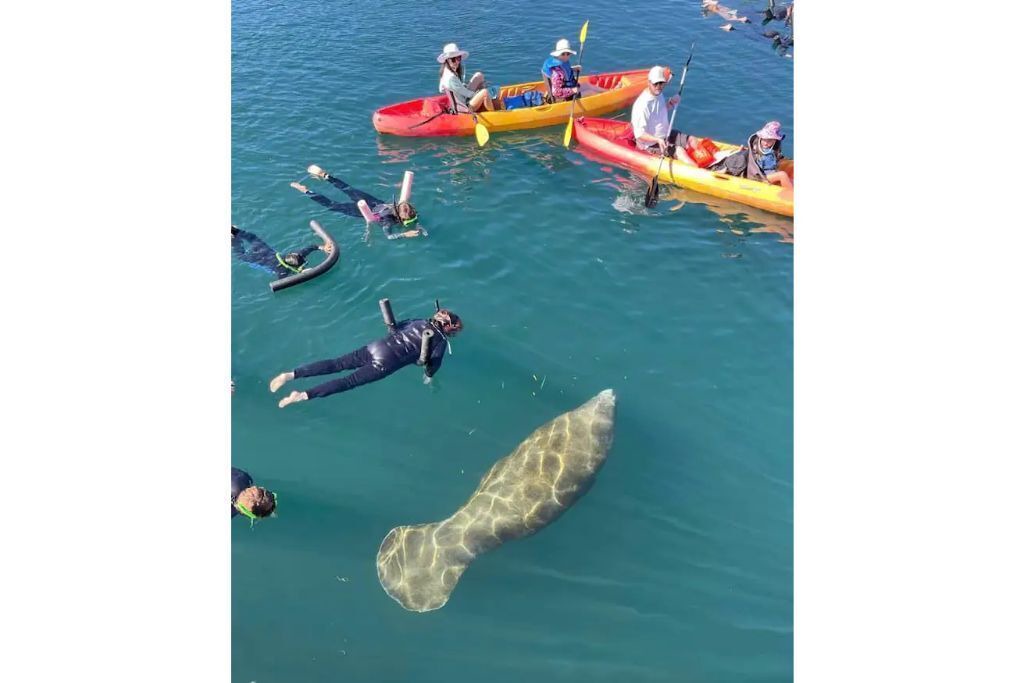 Photo of Others in Crystal River