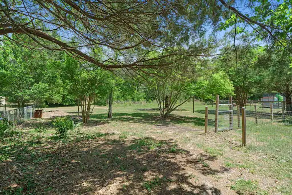 Photo of Outdoor in Crystal River