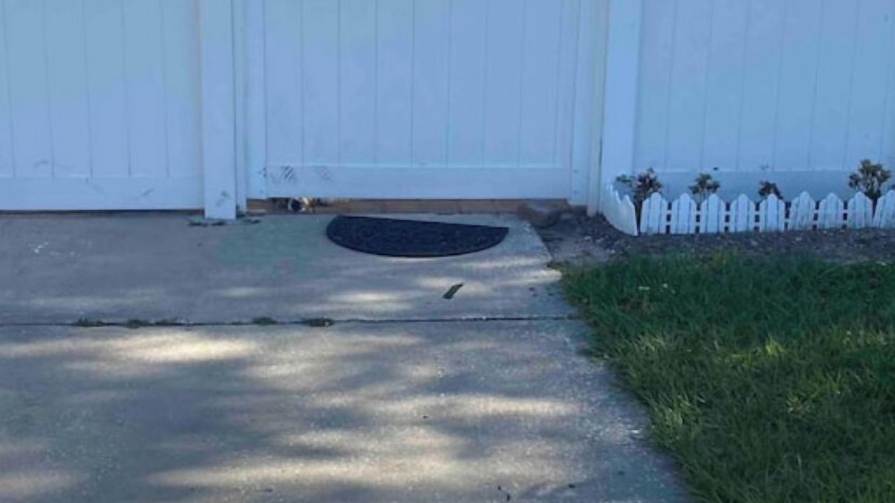 Photo of Outdoor in Egypt Lake-Leto