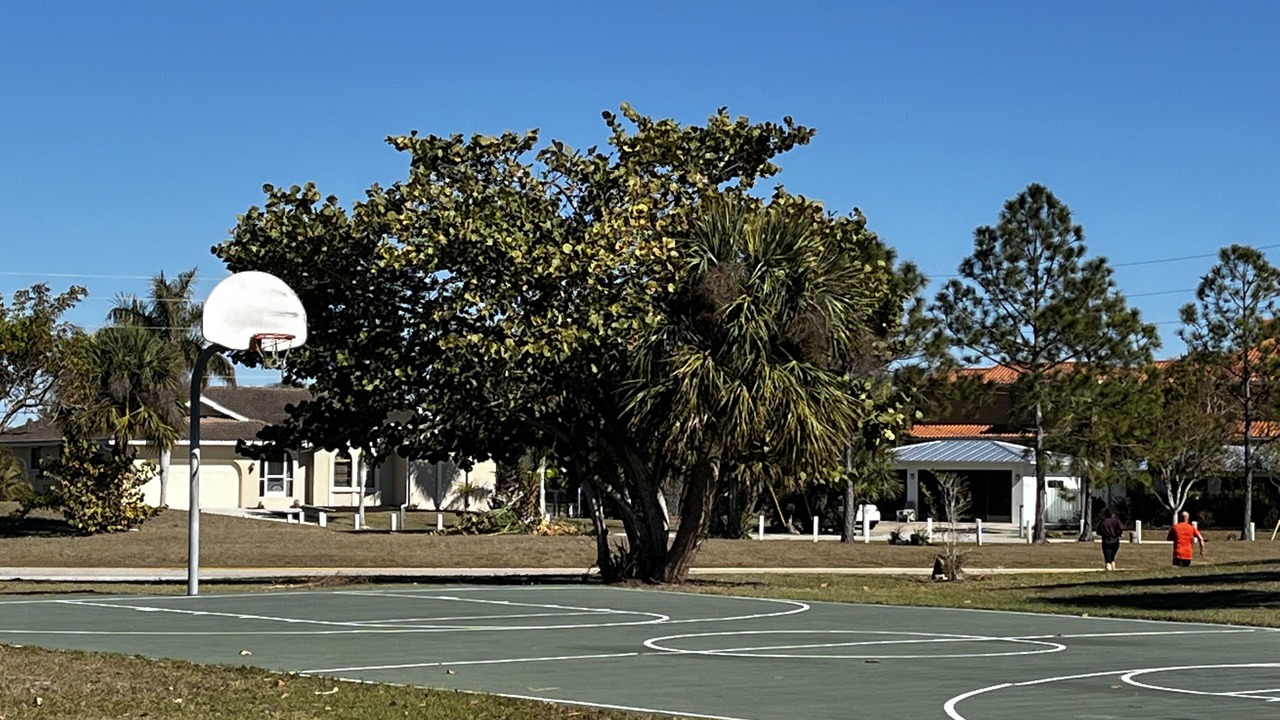 Photo of Others in Edgewater