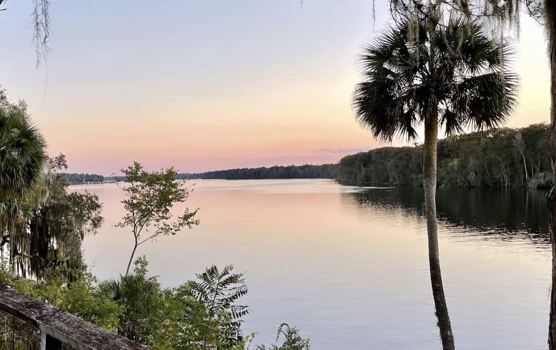 Photo of Others in Satsuma