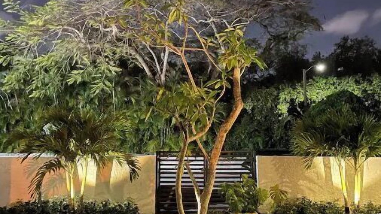Photo of Outdoor in Miami Shores