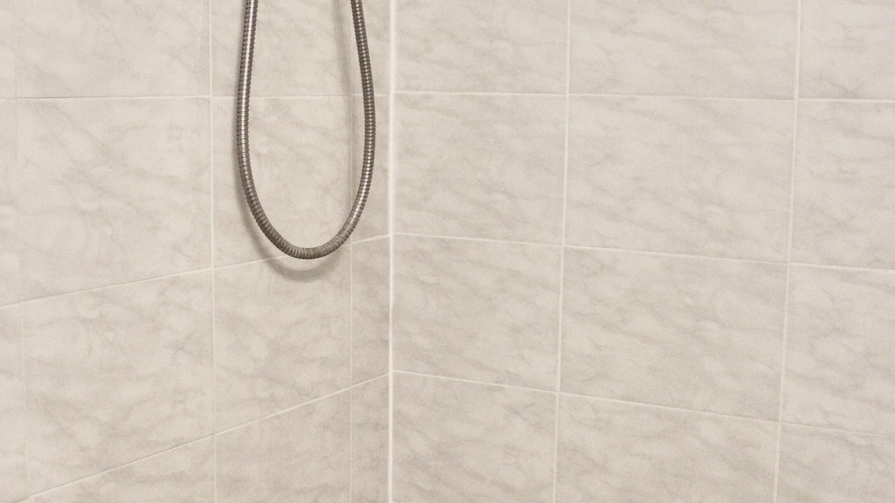 Photo of Bathroom in East County Civic Group
