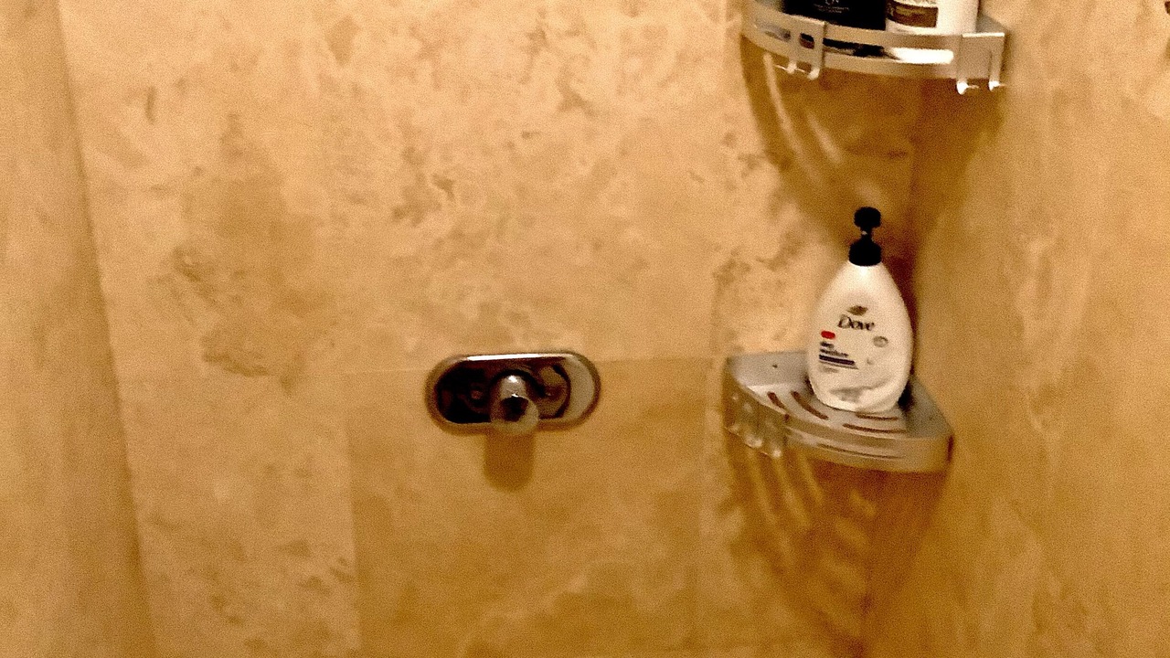 Photo of Bathroom in Orchid