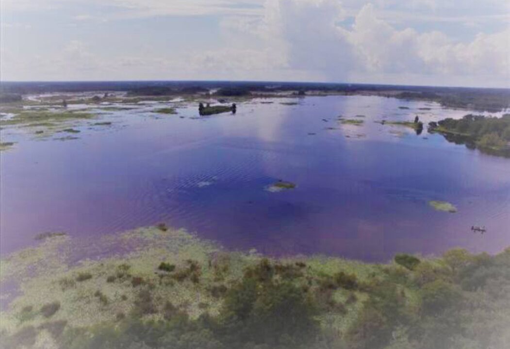 Photo of Outdoor in Hernando