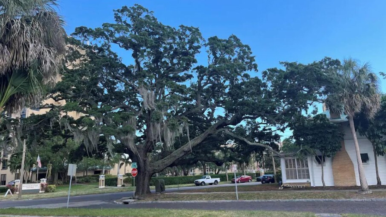 Photo of Outdoor in Historic Old Northeast
