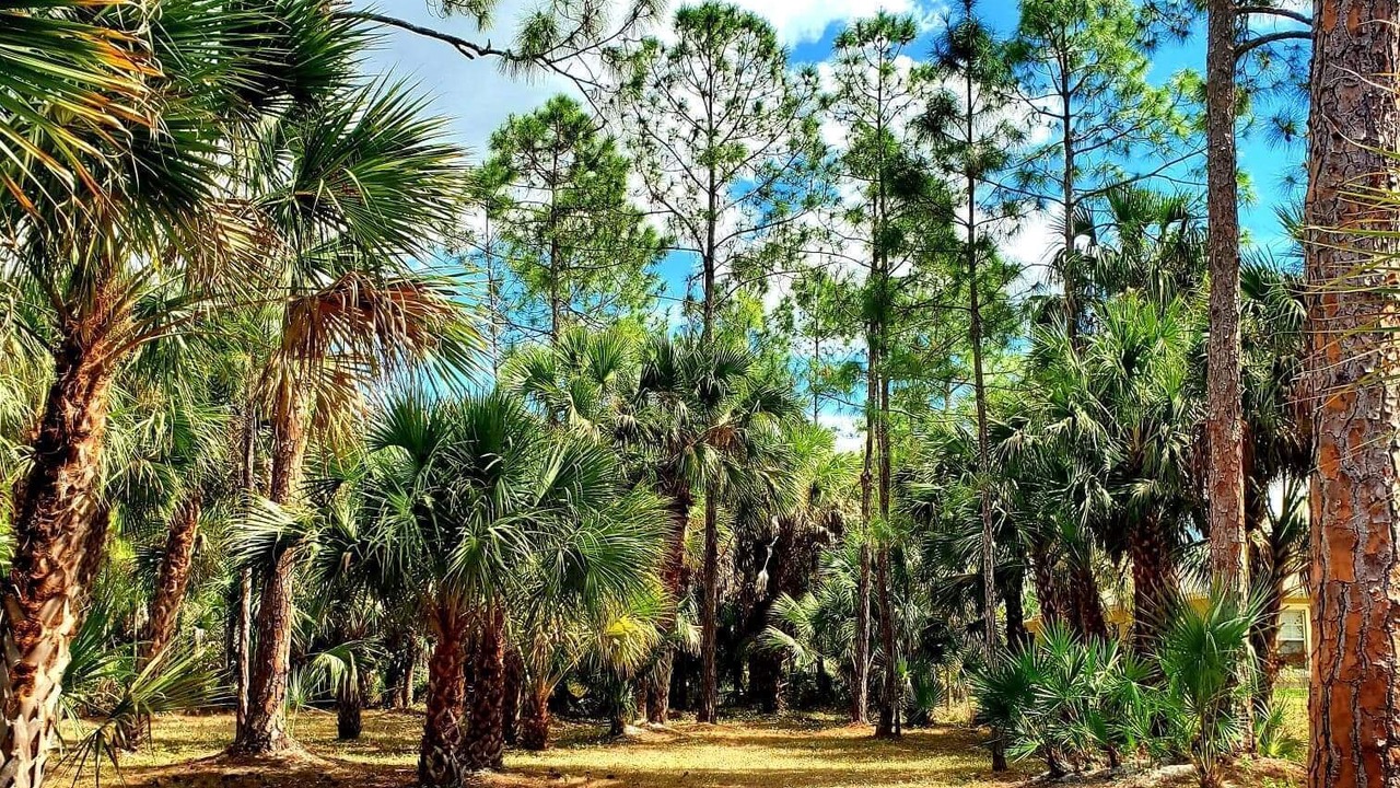 Photo of Outdoor in Rural Estates