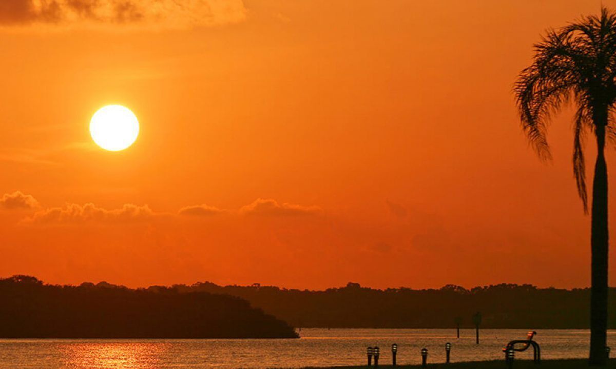 Photo of Others in Gulfport