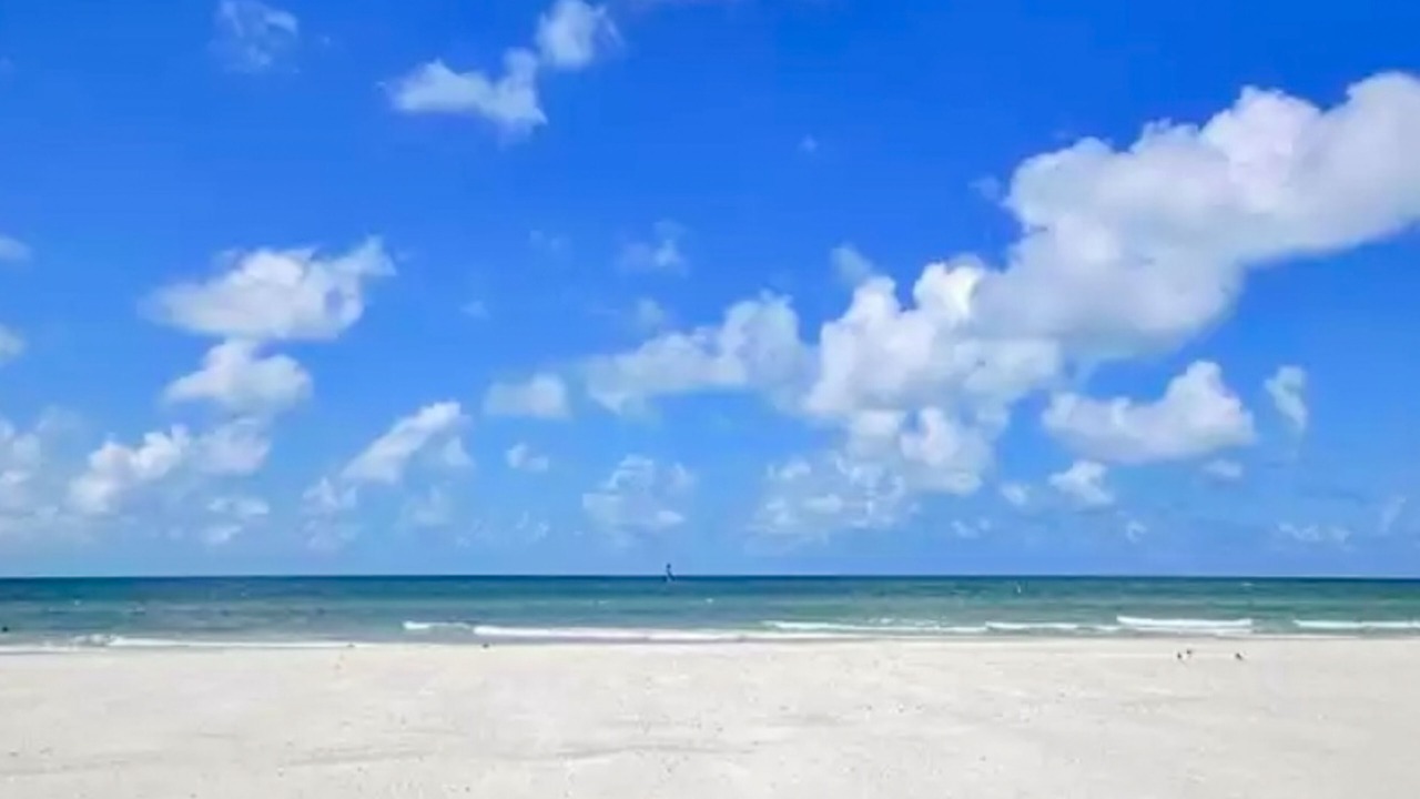 Photo of Others in North Redington Beach