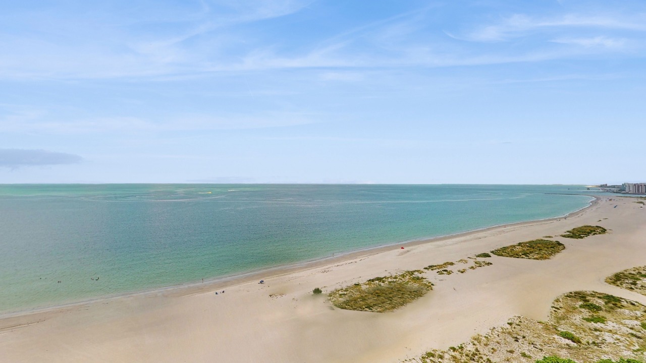 Photo of Others in Sand Key