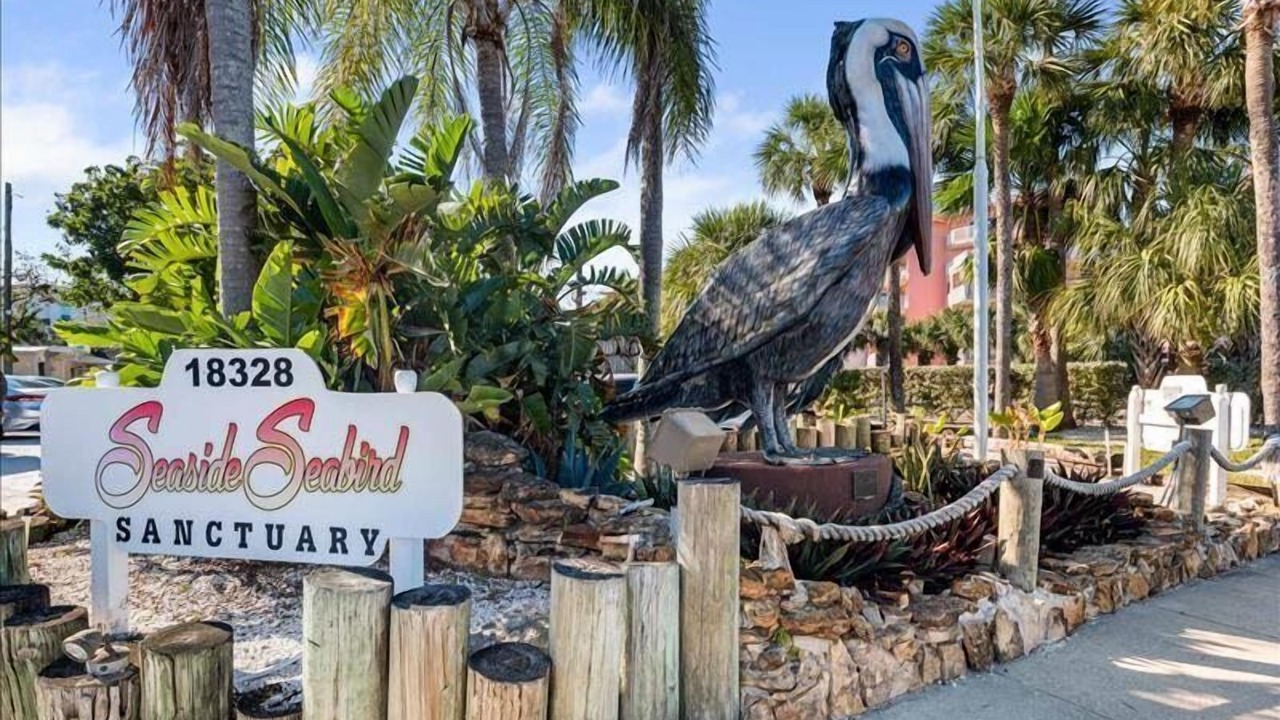 Photo of Others in Redington Shores