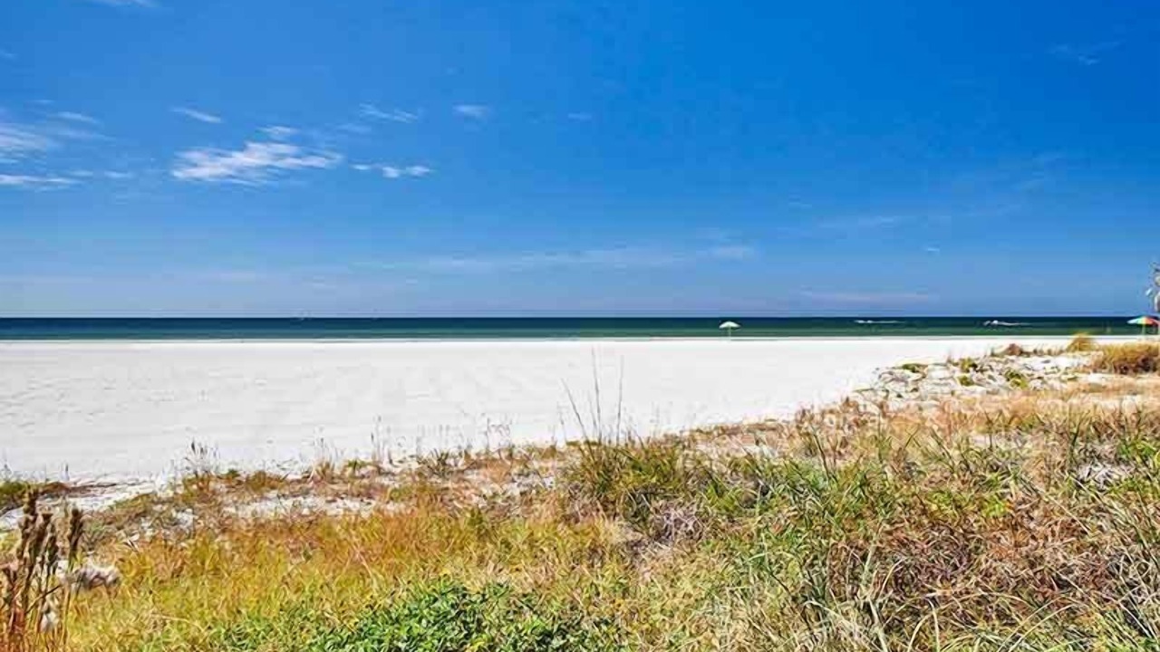 Photo of Others in Redington Shores