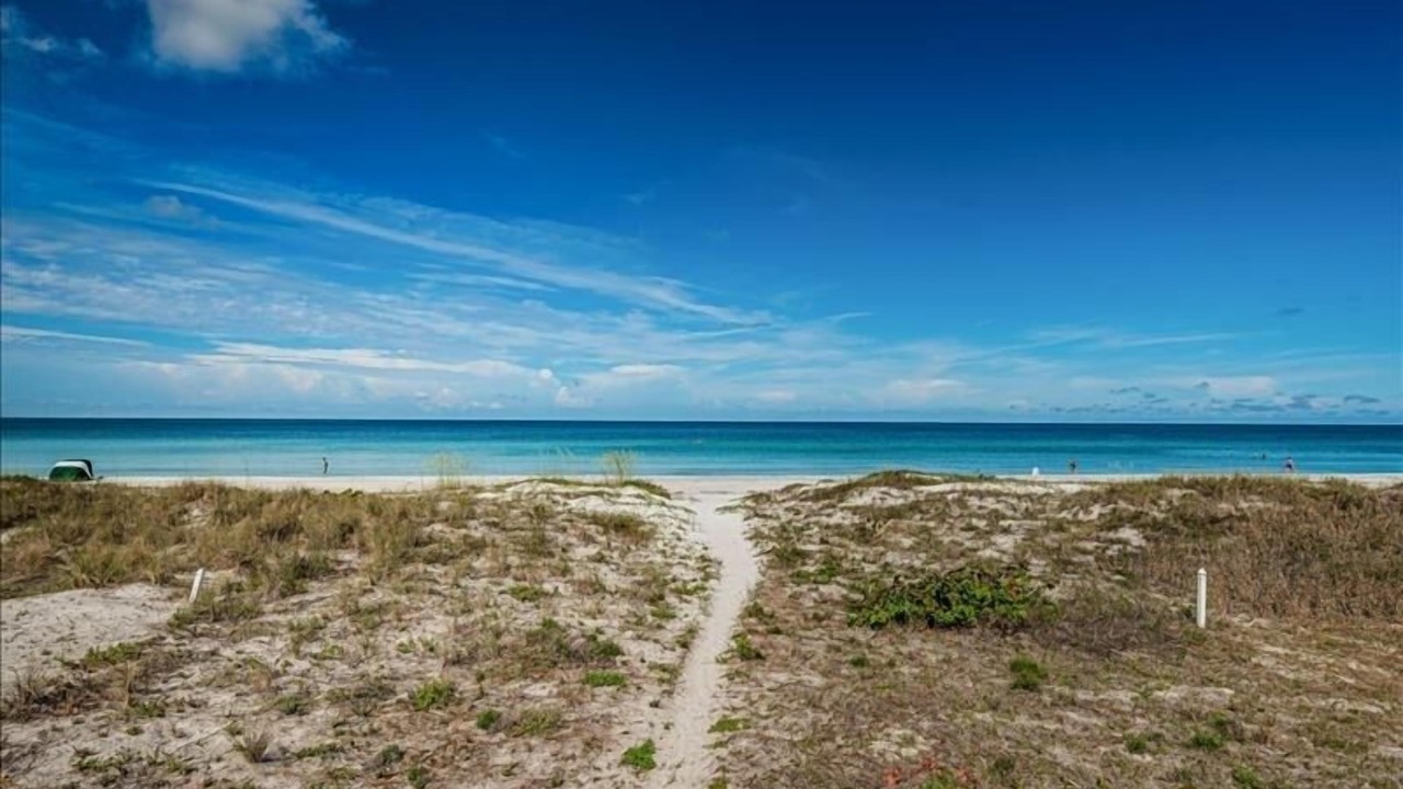 Photo of Others in Indian Shores
