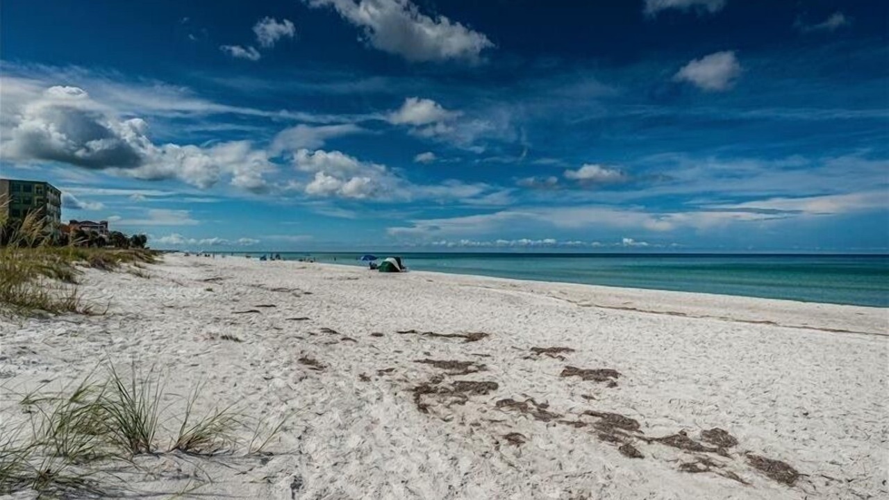 Photo of Others in Indian Shores
