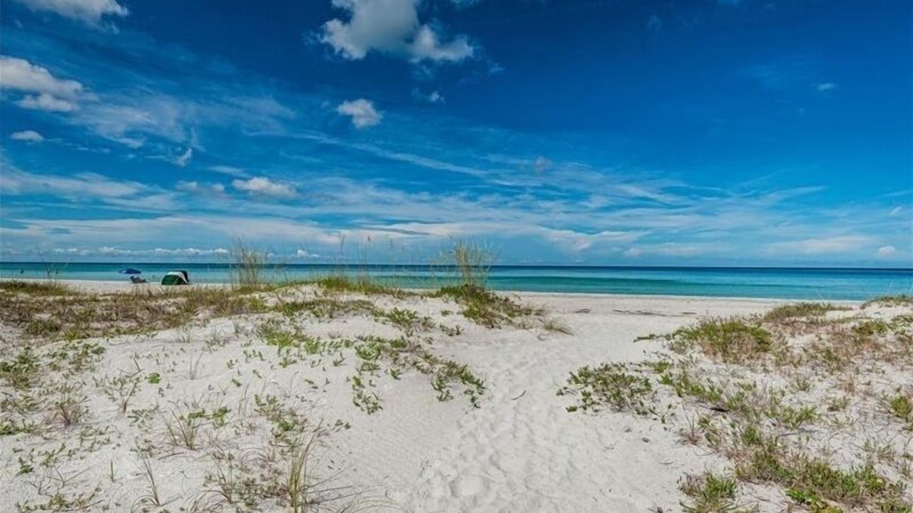 Photo of Others in Indian Shores