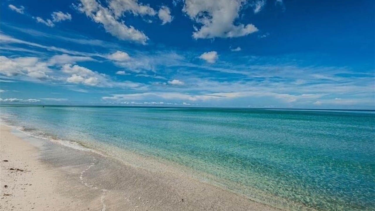 Photo of Others in Indian Shores