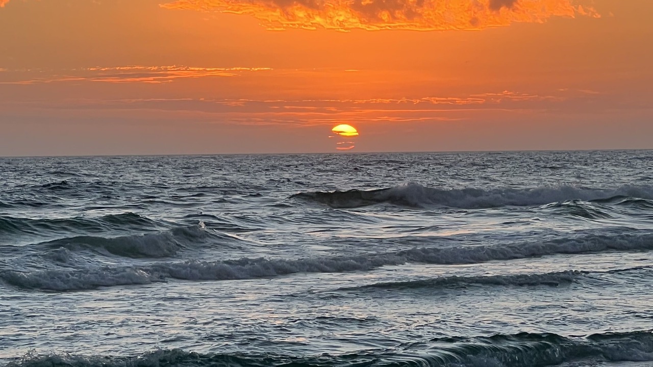 Photo of Others in Gulf Pines