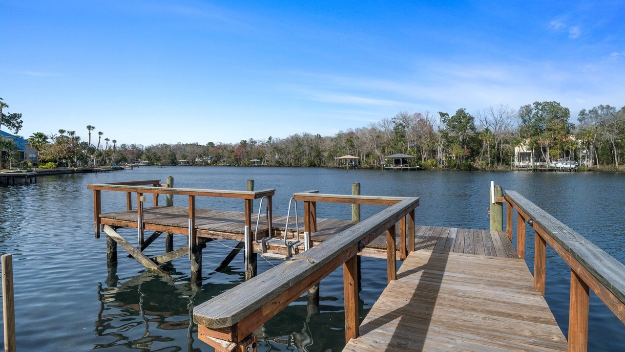 Photo of Others in Homosassa