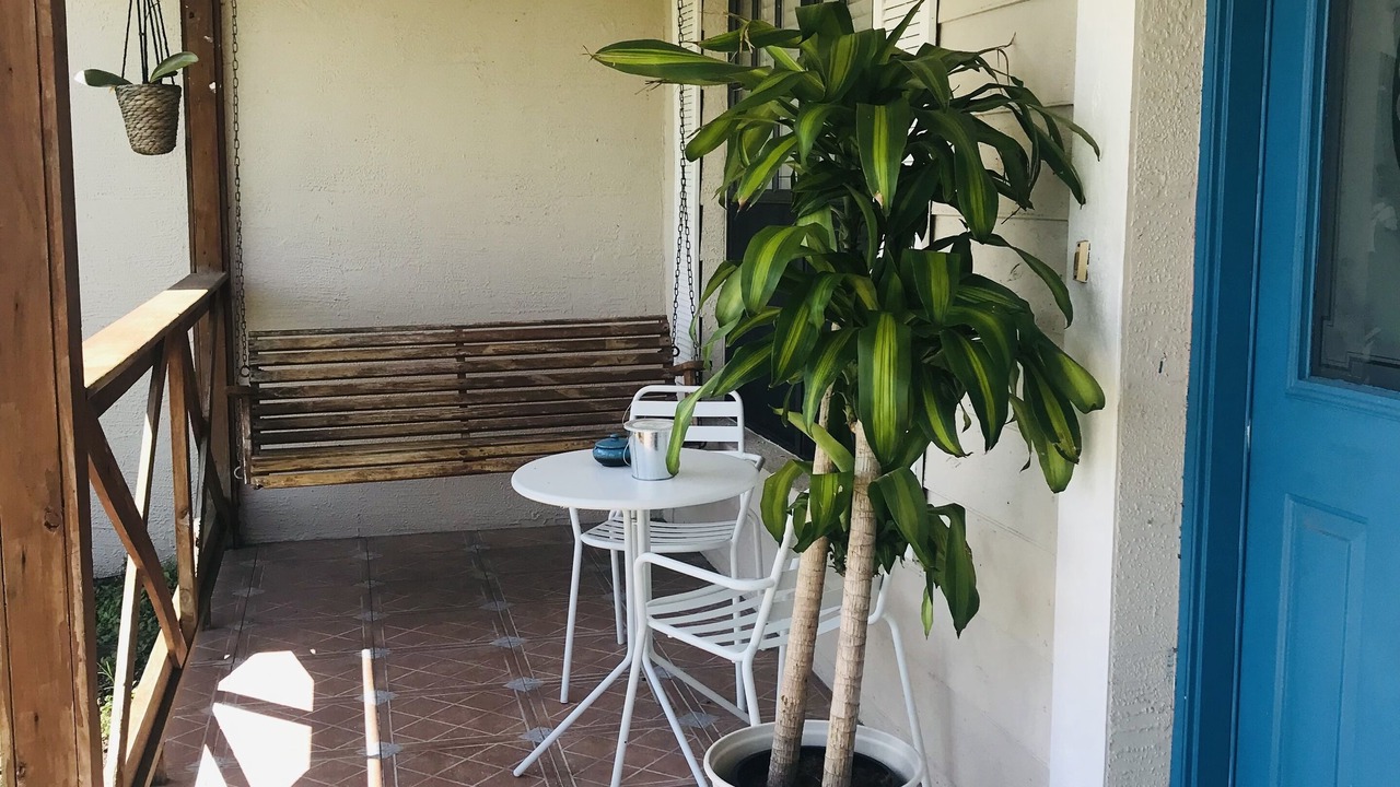 Photo of Outdoor in Zephyrhills