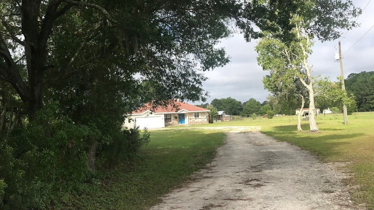 Photo of Outdoor in Zephyrhills