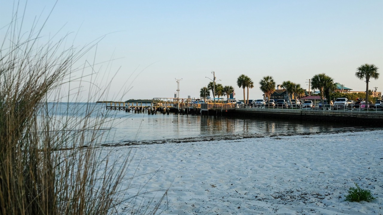 Photo of Others in Cedar Key