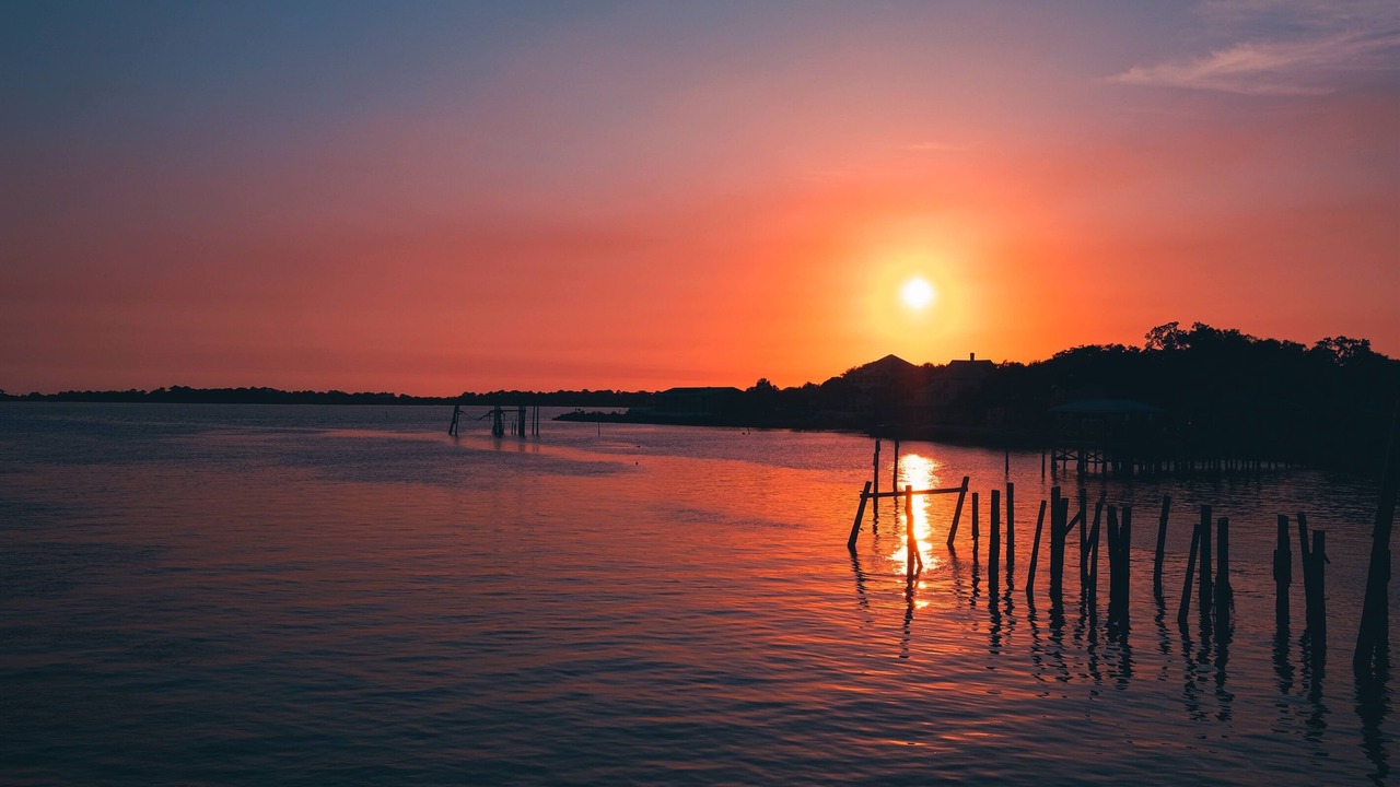 Photo of Others in Cedar Key