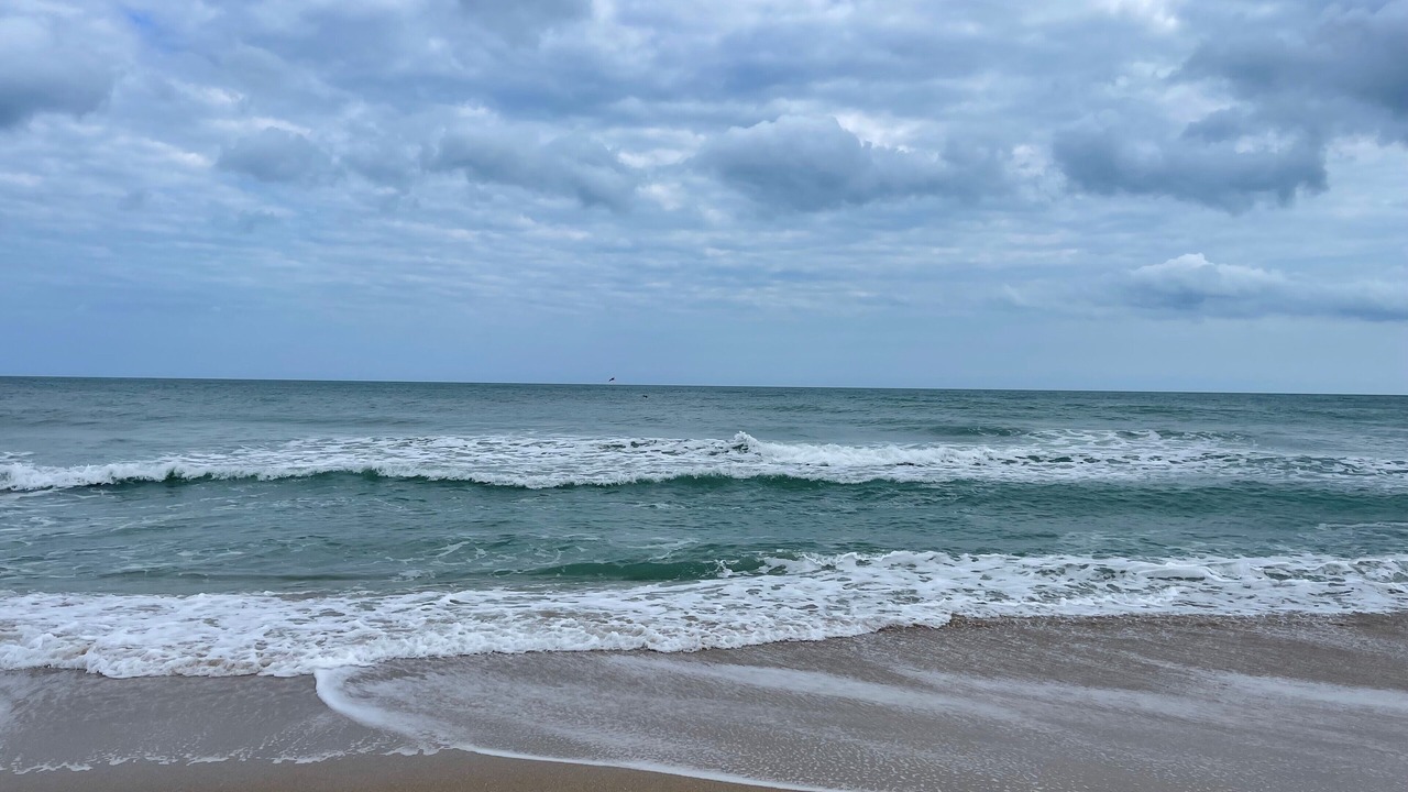 Photo of Others in Melbourne Beach