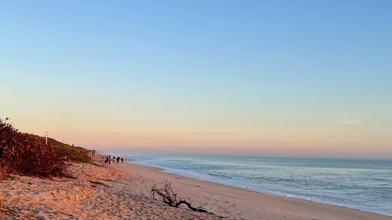 Photo of Others in Melbourne Beach