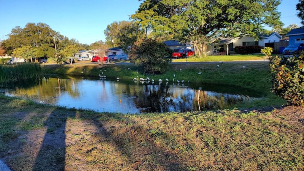 Photo of Outdoor in Disston Heights