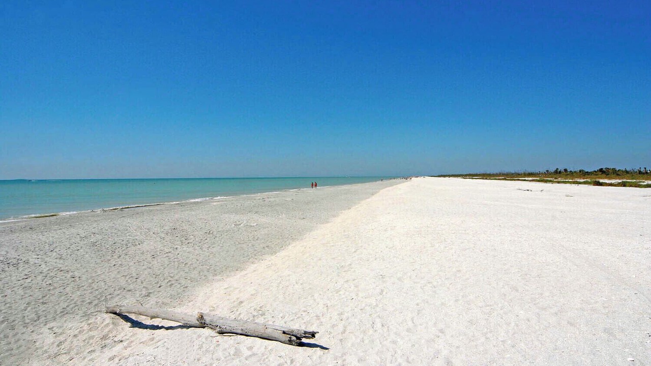 Photo of Others in Sanibel